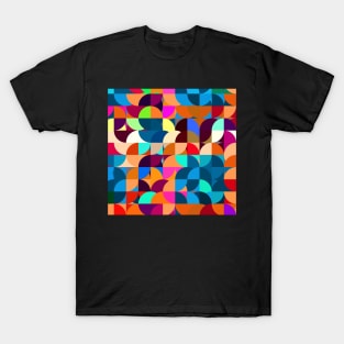 Multicolored Circles Quarter Quadrants and More T-Shirt